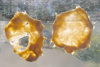 bread flour
