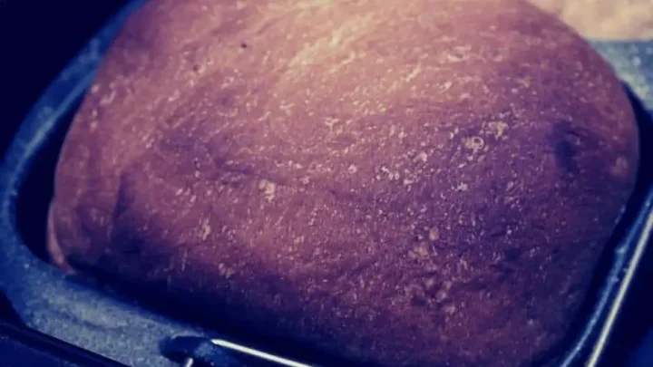 Why Is Your Bread Machine Burning Bread? 5 Easy Fixes