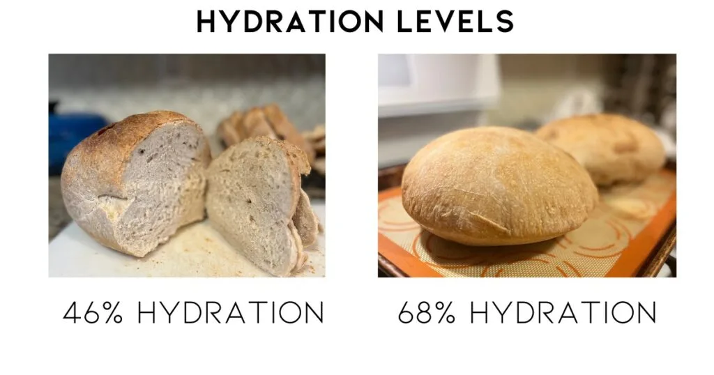 bread machine yeast