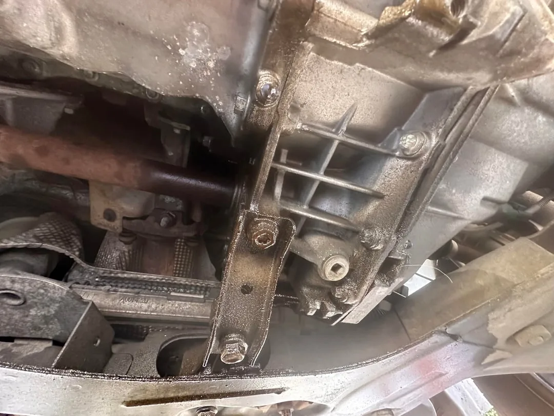 Drive Shaft/Bearing