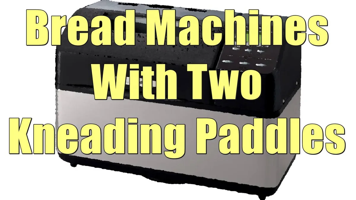 dual kneading paddles