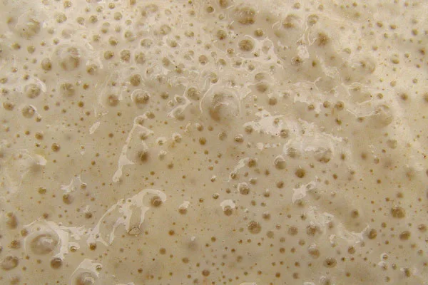 instant yeast