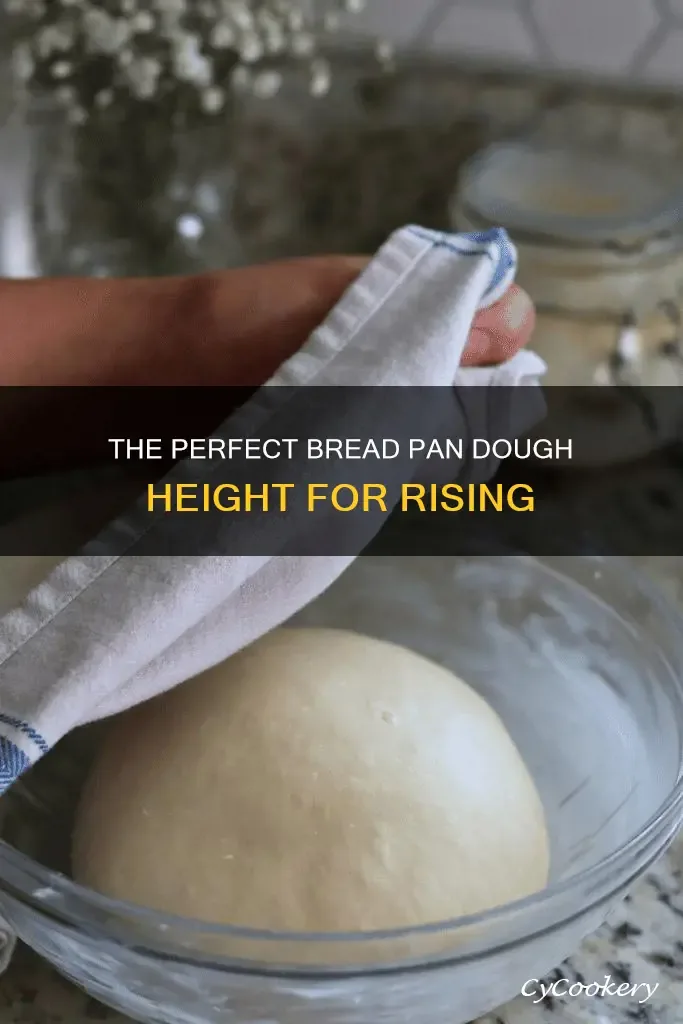 Lean Dough