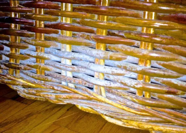 mold on rattan basket