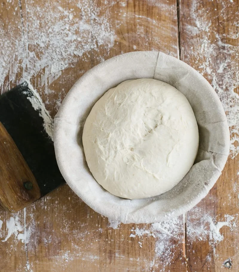 sourdough dough