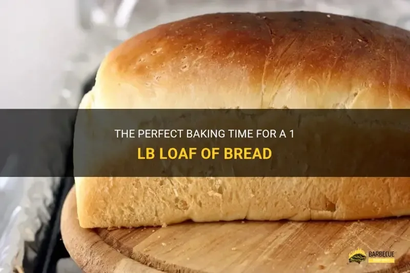 Vertical Loaf Shape