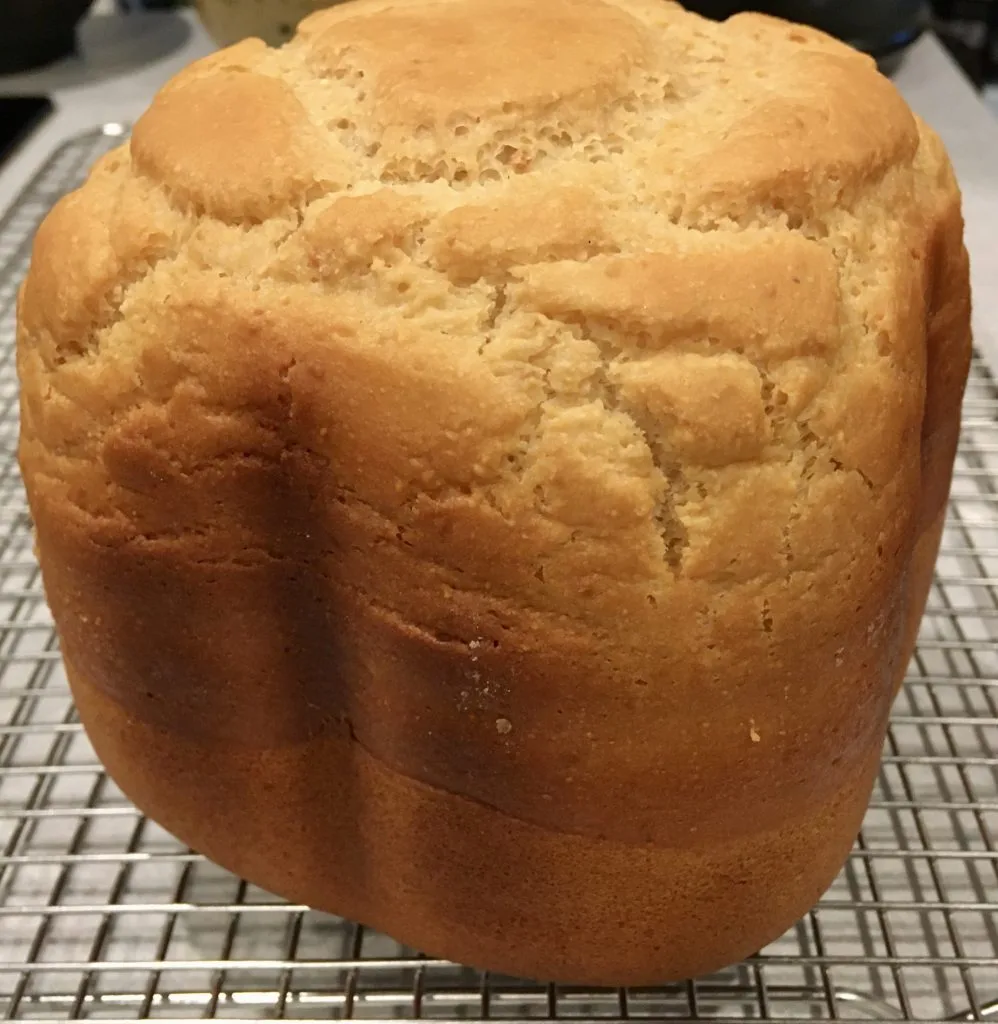 what bread maker for gluten free bread