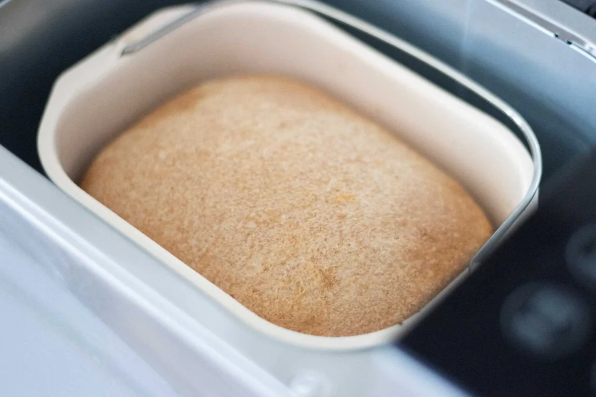 what bread maker for sourdough