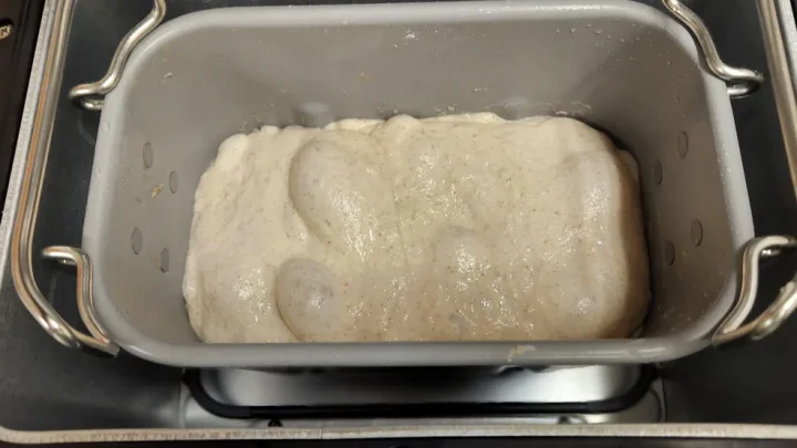 What Size Bread Maker for Sourdough? Finding the Best Fit