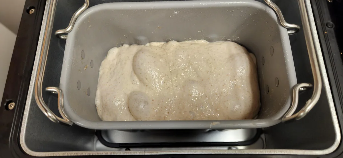 what size bread maker for sourdough